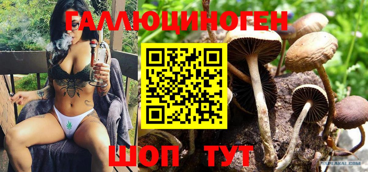 Славянск-на-Кубани  Псилоцибиновые грибы мицелий  Вход с VPN 