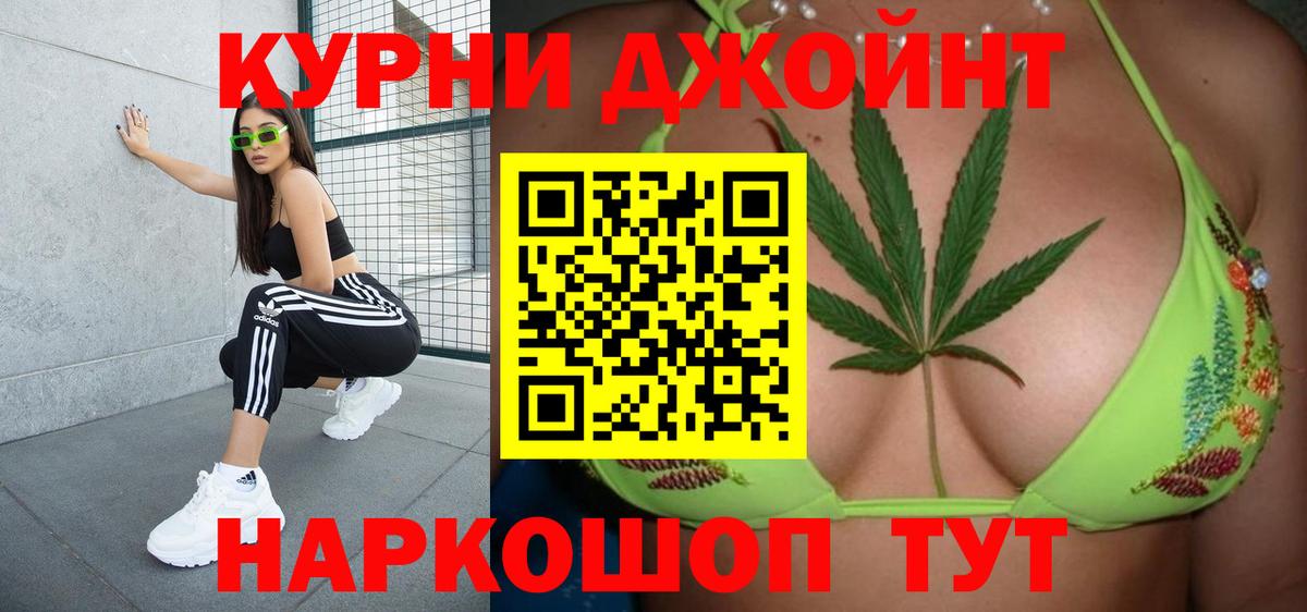 Конопля OG Kush Славянск-на-Кубани